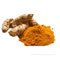 Turmeric Curcuma Extract